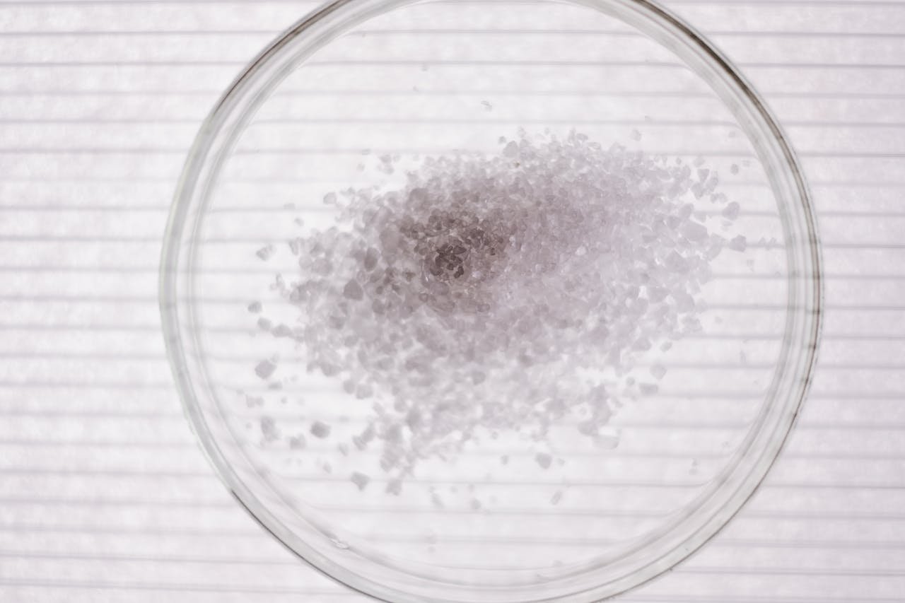 team-02 High-angle view of salt crystals in a petri dish, perfect for science stock images.