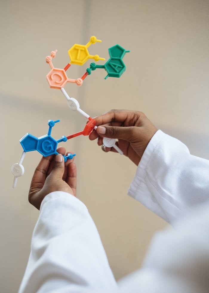 who-we-are Close-up of a scientist's hands holding a colorful molecular model in a lab setting.